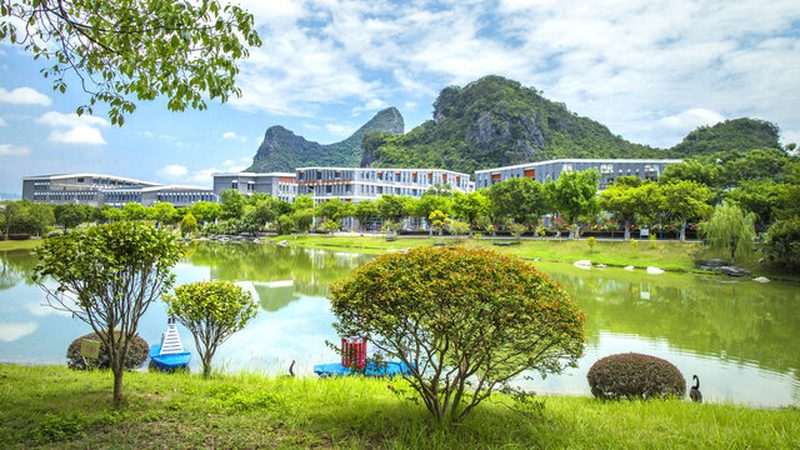 揭秘电子代工：八大品牌参数对比解析