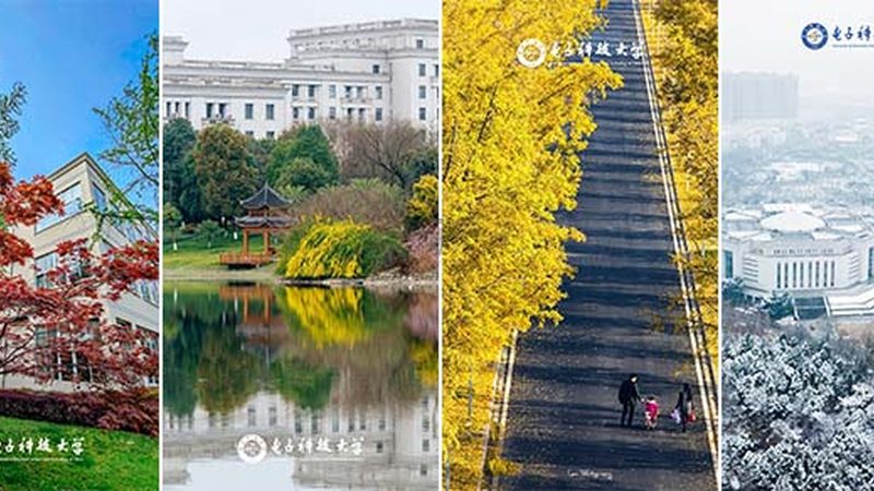 芯片代理货源：揭秘寻找优质供应商的五大关键