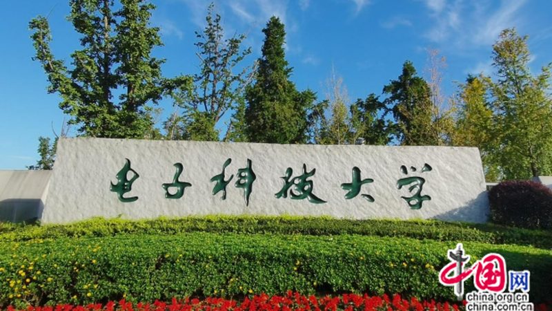 电子设计中的关键元器件：揭秘其选型与作用**
